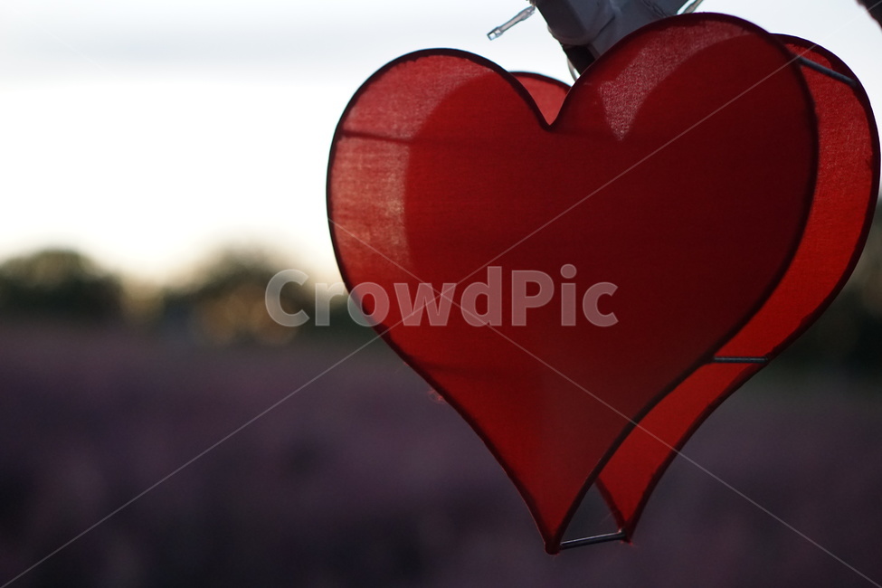 하트,red,심장,heart,background,백그라운드