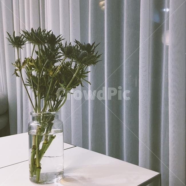 인테리어,분위기,꽃병,커튼,카페,cafe
