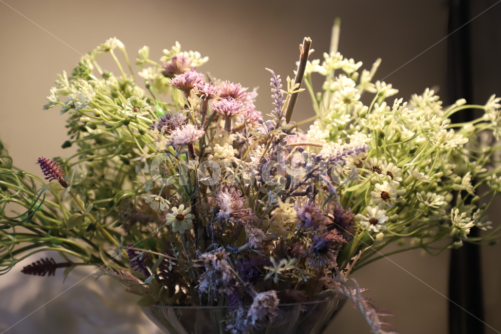 plant,식물,pottery,도기류,ikebana,이케바나,vase,병장식,jar,항아리,flower,art,미술,ornament,장식,flowerarrangement,꽃꽂이,blossom,꽃,flowerbouquet,꽃부케,식물,자연,plants,nature,꽃,flower