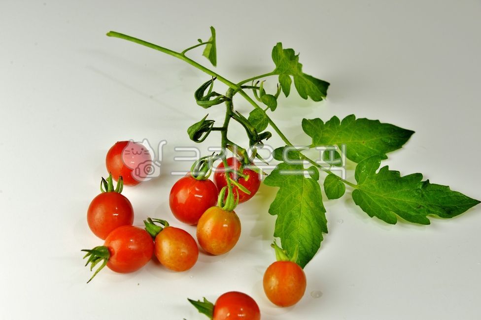Nukki,Cherry tomato,Fruit,fruit,natural product,health,tomato,vegetable,food,red,dessert,fresh vegetables,plant,Food Ingredients,ingredients,diet food,organic