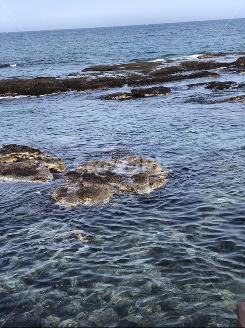 바다,겨울바다,파도,포항,겨울,자연,풍경,nature,landscape,water,물,sea,ocean,대양,outdoors,옥외,promontory,곶