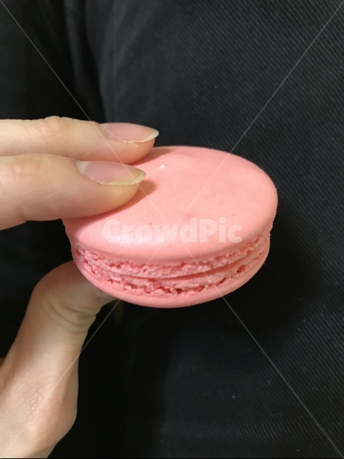 마카롱,손,분홍색,간식,후식,왼손,디저트,macaroon,hand,pink,snack,dessert