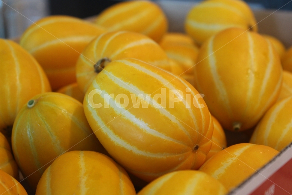 참외,성주참외,꿀참외,성주꿀참외,성주특산물,음식,식재료,요리,food,cook,meal,dishes,food reserves,채소,야채,vegetables