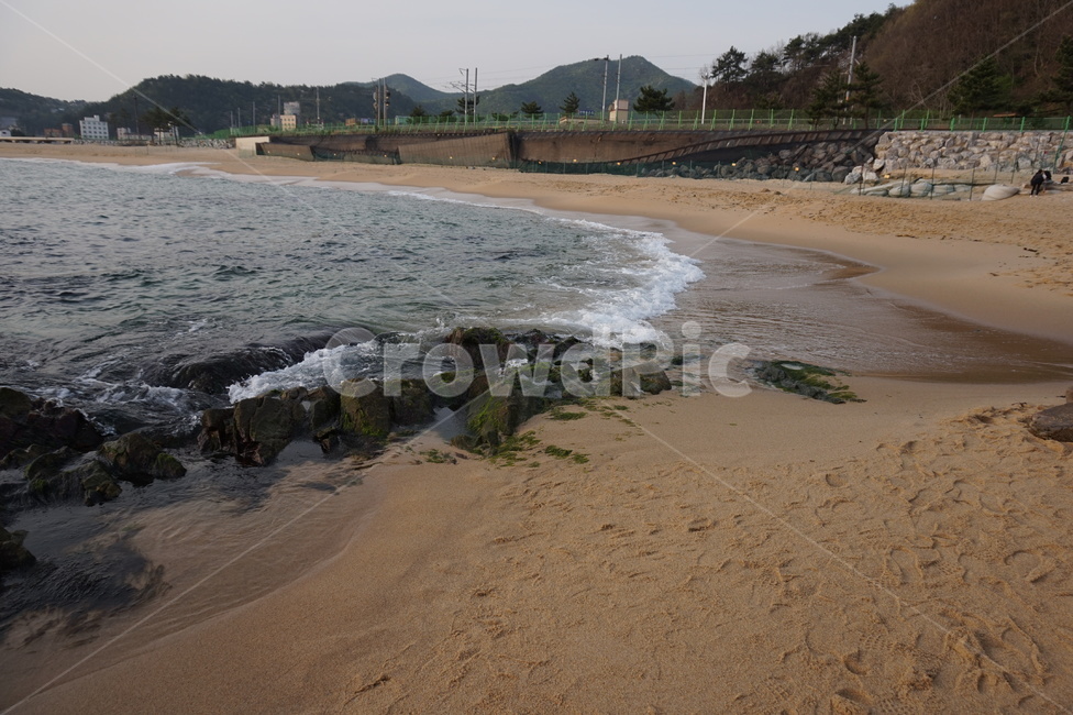 바다,해변,이끼,모래,일출,정동진,자연,풍경,nature,landscape,해변,바다,beach,sea