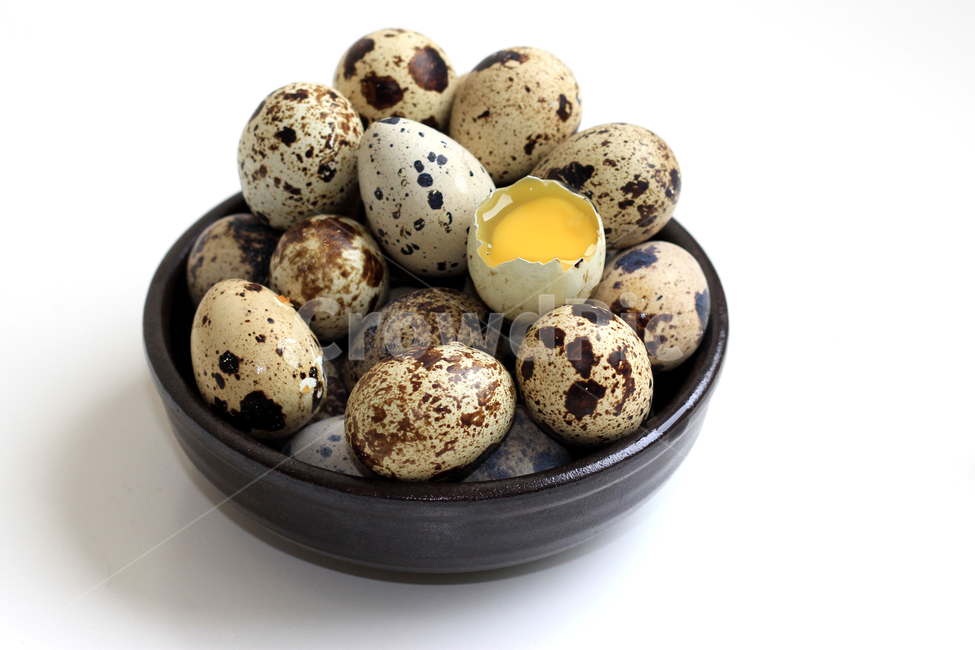 메추리알,메추라기,홈쿡,요리재료,정물,음식,식재료,요리,food,cook,meal,dishes,food reserves