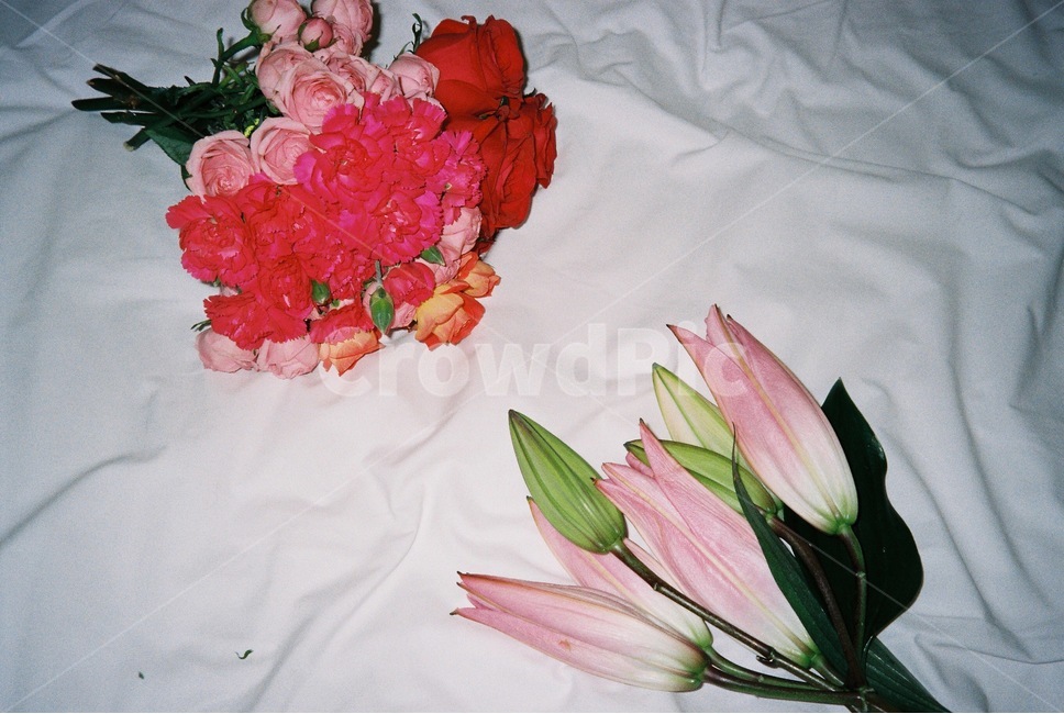 꽃,소품,백합,필름카메라,감성사진