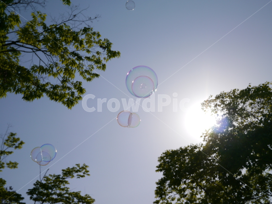 비누방울,여름,하늘,여름하늘,푸른하늘,햇빛,자연,풍경,nature,landscape,bubble,거품