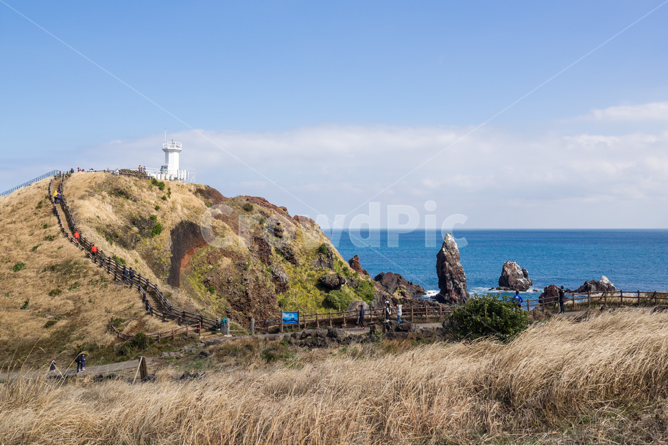제주도,바다,섭지코지,섬,등대,자연,풍경,nature,landscape,한국자연풍경,한국자연경관,korea nature landscape,등대,lighthouse,제주도,jeju,jeju island,outdoors,옥외