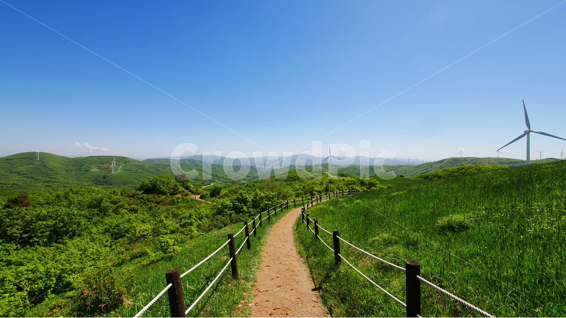 강원도,평창,대관령삼양목장,삼양목장,자연,풍경,초목,풀,자연,풍경,nature,landscape,railing,난간,outdoors,옥외