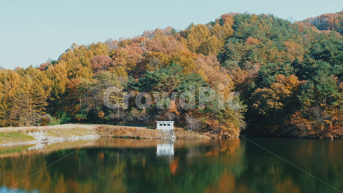 가을,단풍,자연,풍경,강,저수지,산,가을,계절,fall,autumn,season,자연,풍경,nature,landscape,water,물,outdoors,옥외
