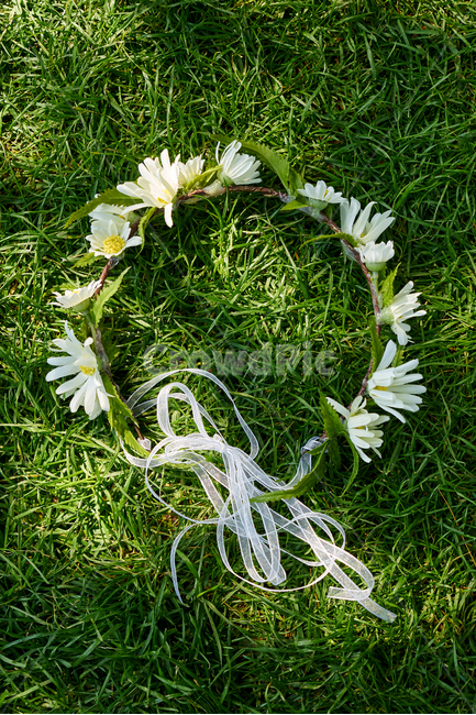 머리띠,꽃,식물,로맨틱,결혼,정물,조화,꽃,flower,결혼,혼례,웨딩,wedding,marriage,marry,기념일,축하,anniversary,congratulation,celebrate,celebration