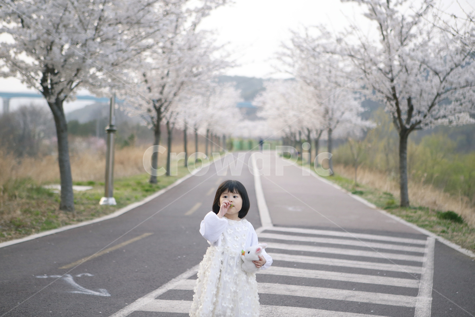봄,벚꽃길,벚꽃,딸,산책,벚꽃원피스,봄,계절,spring,season,사람,인물,인간,human,person,어린이,어린아이,child,children,kid,감성,sensible,feeling,asphalt,아스팔트,road,도로
