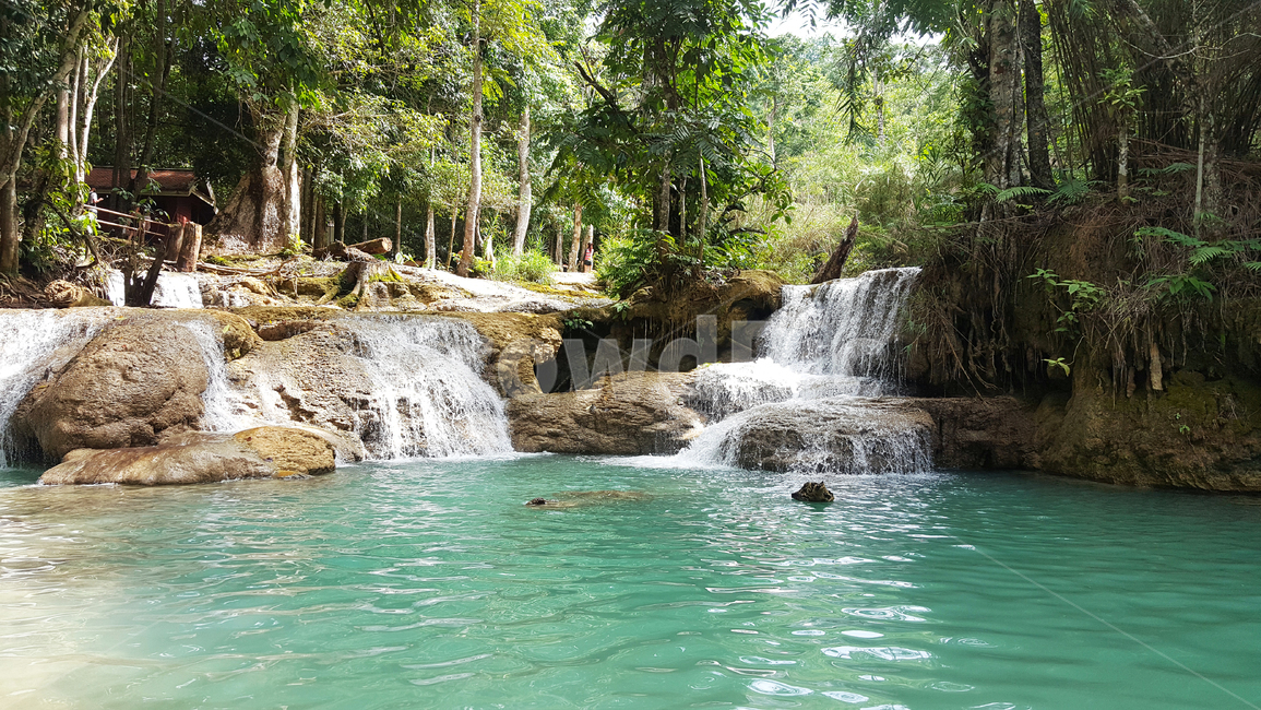 폭포,자연,라오스,땃새폭포,열대우림,분위기,푸른,휴양,휴식,waterfall,laos,nature,rainforest