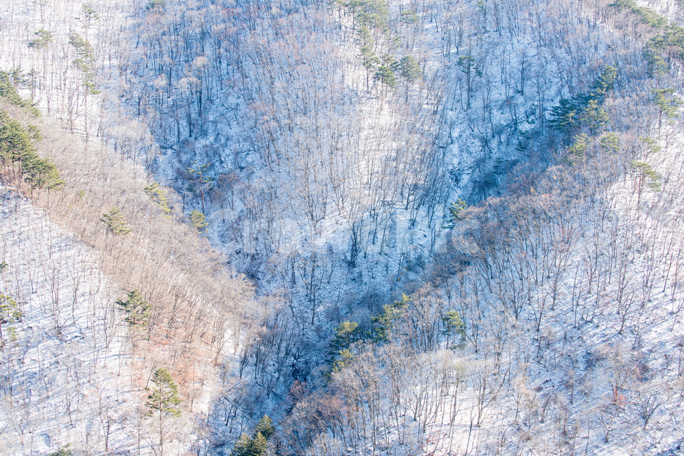 겨울,눈,눈꽃,설경,풍경,나무,산,발왕산,설산,상고대,경치,전경,아시아,한국,동양,실외,눈경치,겨울풍경,카피스페이스,동계,자연,계절,강원도,한국자연풍경,한국자연경관,경관,landscapes,korea,snow,asia,mountain,snowflakes,oriental,outdoor,snowscape,winterlandscape,copyspace,winter,nature,seasonal,gangwonprovince,koreannaturallandscape,korealandscape,landscape,겨울,계절,winter,season,자연,풍경,nature,landscape,한국자연풍경,한국자연경관,korea nature landscape