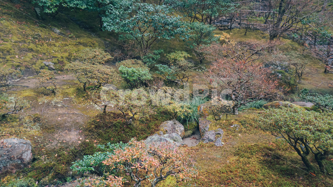 정원,단풍,가을,fall,garden,가을,계절,fall,autumn,season,자연,풍경,nature,landscape,ground,바닥,tree,나무,plant,식물