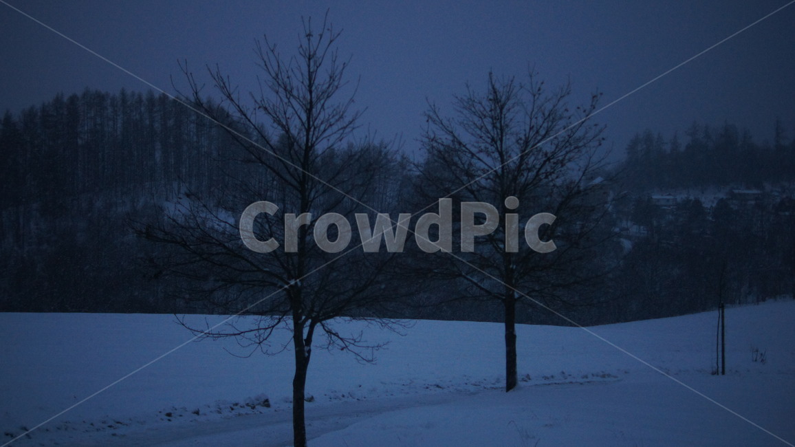 체코,체스키크룸로프,야경,겨울,유럽야경,체코야경,프라하근교,겨울,계절,winter,season,자연,풍경,nature,landscape,outdoors,옥외