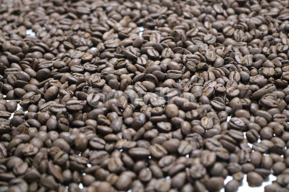 커피,원두,콩,커피콩,로스팅,아메리카노,생두,커피,카페,coffee,cafe