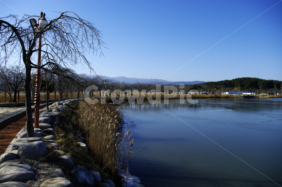 호수,갈대,식물,plant,겨울,나무,겨울,계절,winter,season,자연,풍경,nature,landscape,water,물,outdoors,옥외