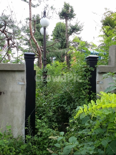 정원,전등,집,담장,식물,대문,문