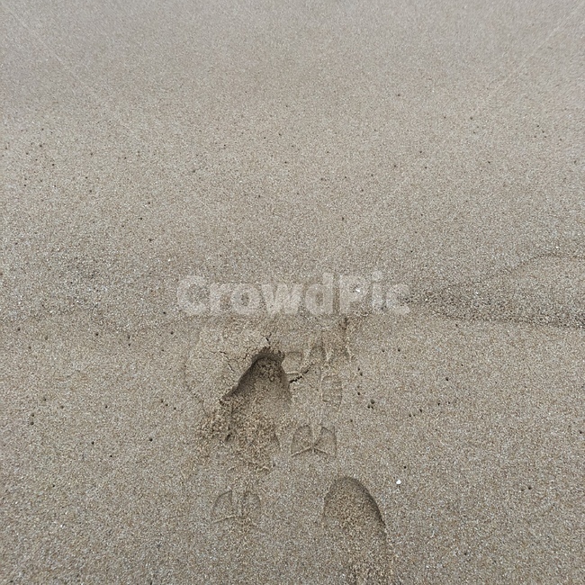 바다,모래,해변,휴양,휴가,sand,outdoors,자연,nature