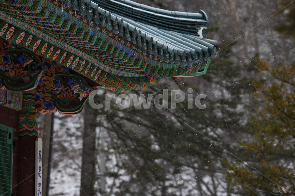 종교,건물,풍경,자연,절,불교,사찰,지붕,단청,풍경소리,기와,목조건물,하늘,종,물고기,잉어,처마,추녀,바람,전통,정암사,강원도,겨울,계절,winter,season,한국전통,한국문화,korean traditional,korean culture,건축물,건물외관,exterior,building,structure,architecture,construction