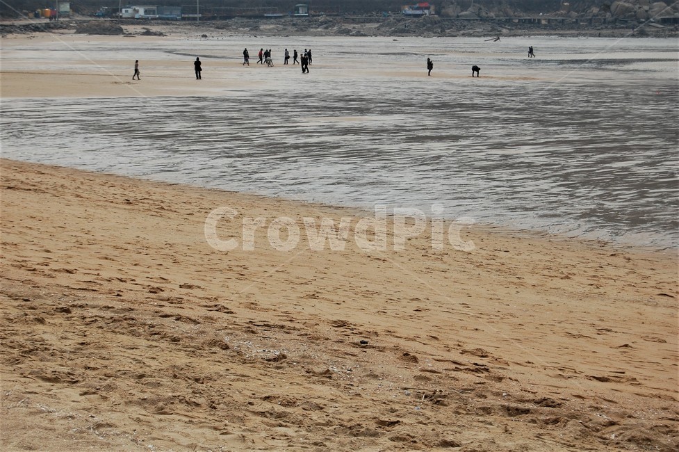 바다,서해안,모래사장,바다가,해안가,해변,바다,beach,sea
