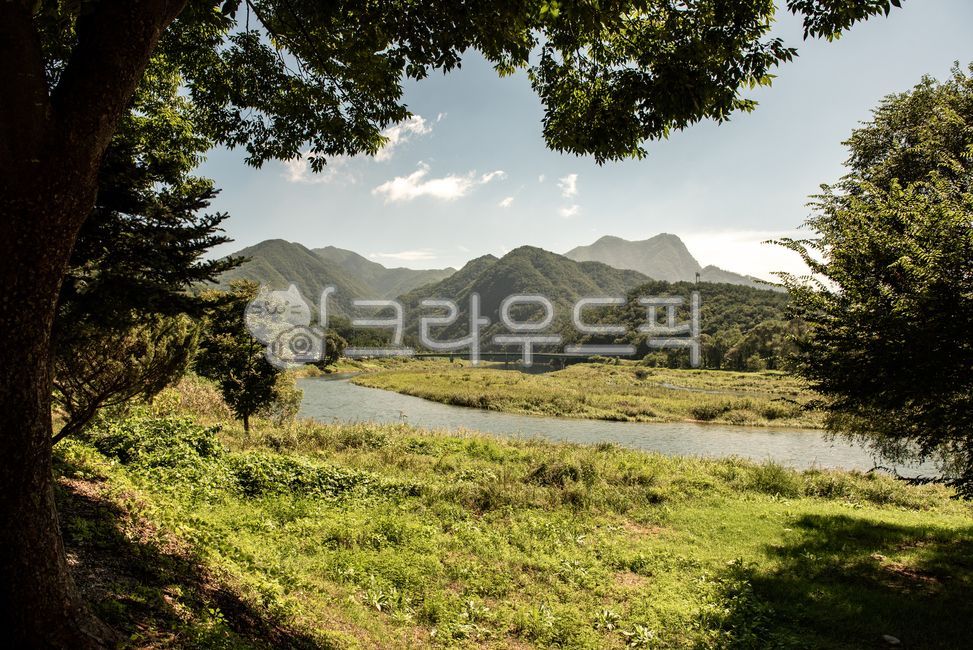자연, 나무, 산, 강, nature, 사진,이미지,일러스트,캘리그라피 - jin0 photo작가