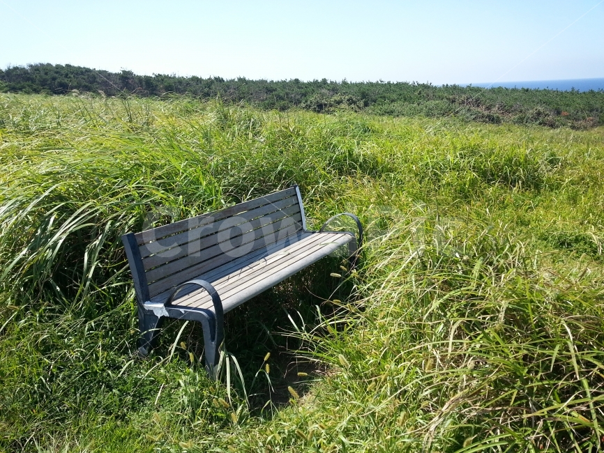 벤치,마라도,외로움,고독함,쓸쓸함,자연,풍경,nature,landscape,grass,잔디,plant,식물