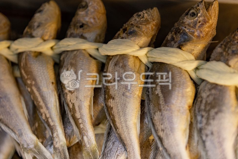 수산물, 조기, 굴비, 건제품, 굴비묶음, 사진,이미지,일러스트,캘리그라피 - 조하운해작가