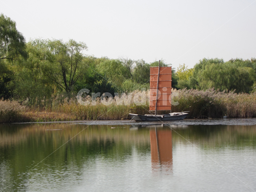 연못,돛단배,숲,평화의공원,공원,물,배,반영,억새,자연,풍경,nature,landscape,한국자연풍경,한국자연경관,korea nature landscape,outdoors,옥외,rural,농촌,building,건물,shelter,피난처