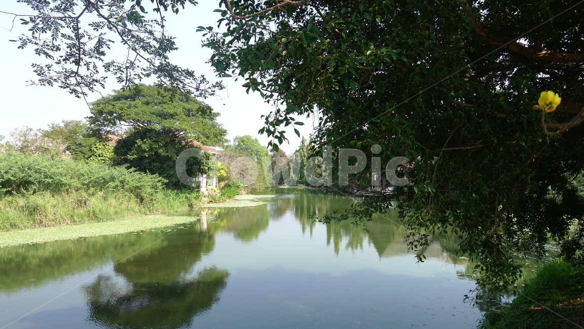 summer,water,outdoor,물,여름,야외