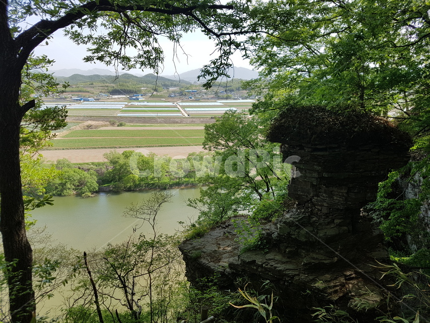 자연,물,강,옥외,땅,nature,water,river,outdoors,land,나무,tree,아치,arch,바위,탑바위,의령탑바위,rock,조화,초록