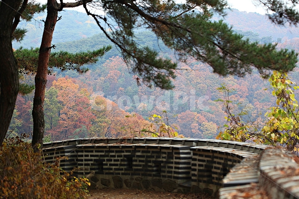 남한산성,성,성곽,단풍,낙엽,길,둘레길,숲,숲길,담,돌담,가을,자연,풍경,벽,울긋불긋,산성,식물,가을,계절,fall,autumn,season