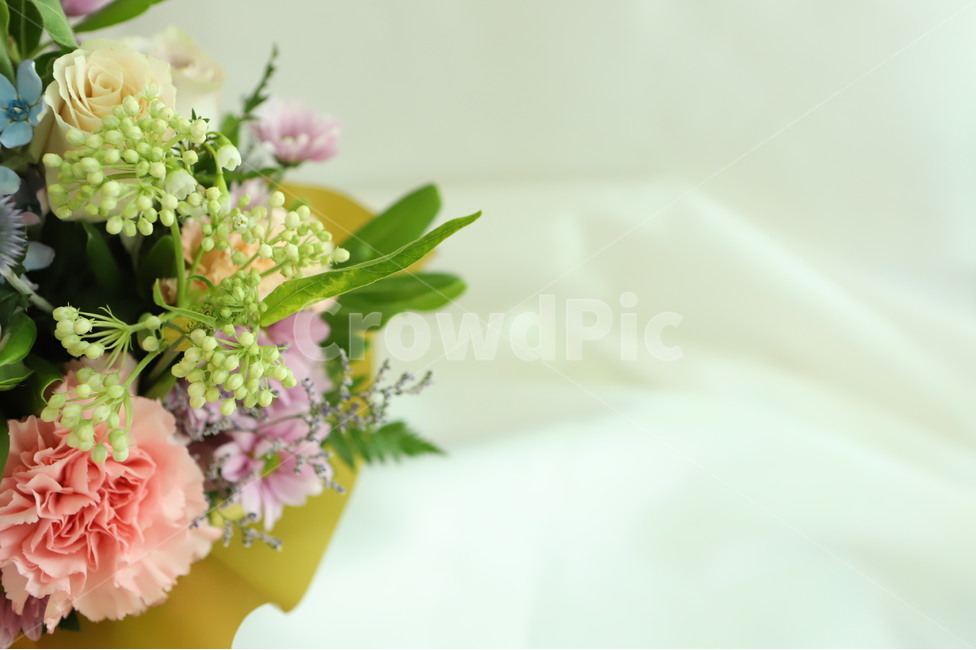 plant,식물,flower,꽃,blossom,flowerarrangement,feeling,sensible,자연,색감,색깔,색채,시즌,nature,감성사진,따뜻한,힐링,감성,배경,계절,만개,봄,근접,테이블,카네이션,꽃,flower