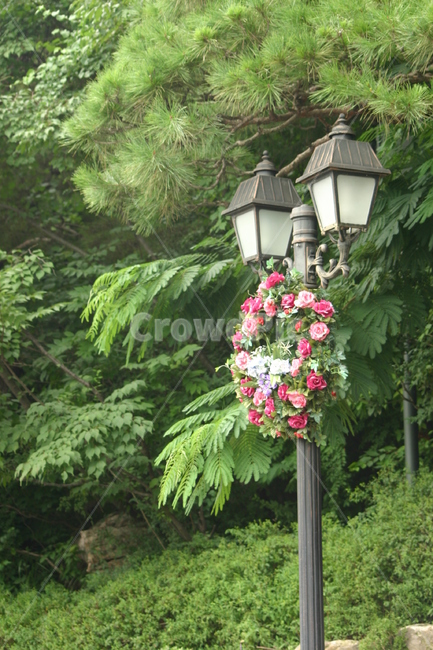 가로등,streetlamps,lamp,ludeng,flower,house,tree,cottage,home,architecture,forest,wood,old,landscape,rural,building,wooden,birdhouse,bird,trees,leaf,romantic,lighted,way,pathway,lantern,illuminated,light,outdoor,park,plant,spring,background,summer,beauty,beautiful,green,garden,nature,street