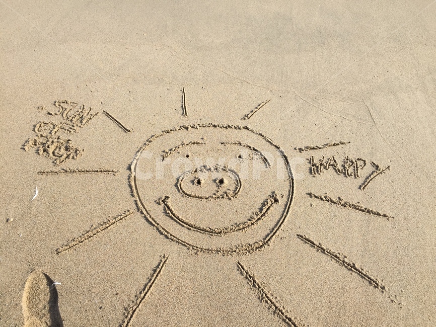 돼지,돼지해,돼지해복,복돼지기,해년인사,해변,바다,beach,sea