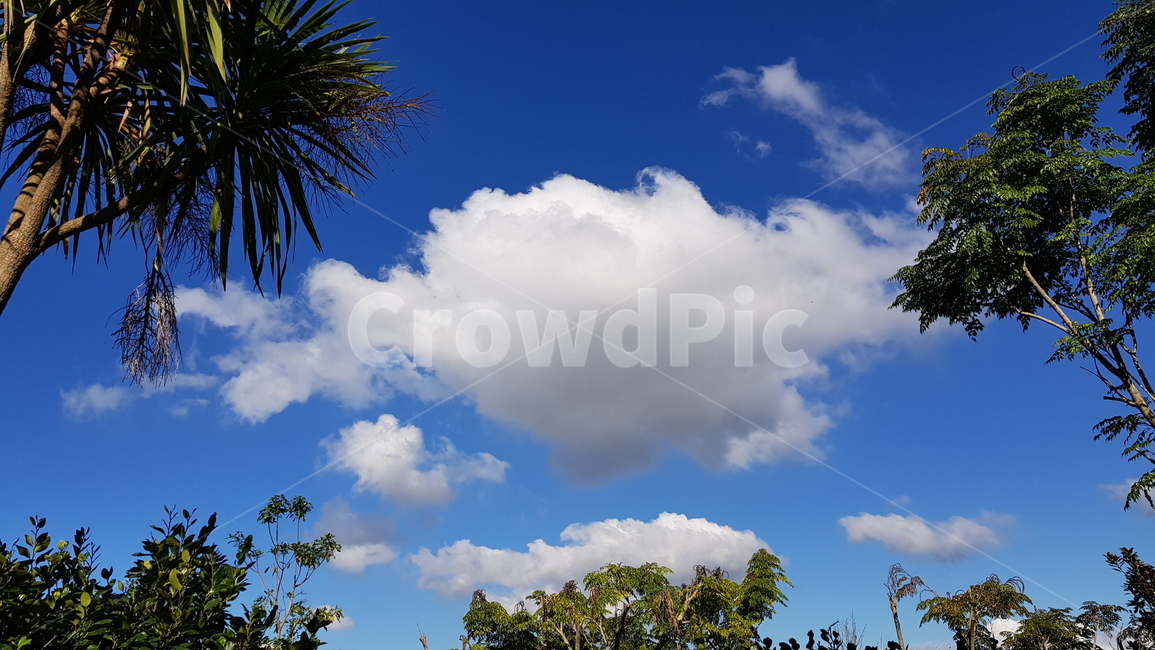 하늘,구름,맑은하늘,자연,멋진풍경,sky,cloud