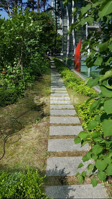 초록,나무,초록색,길,계절,식물,나무길