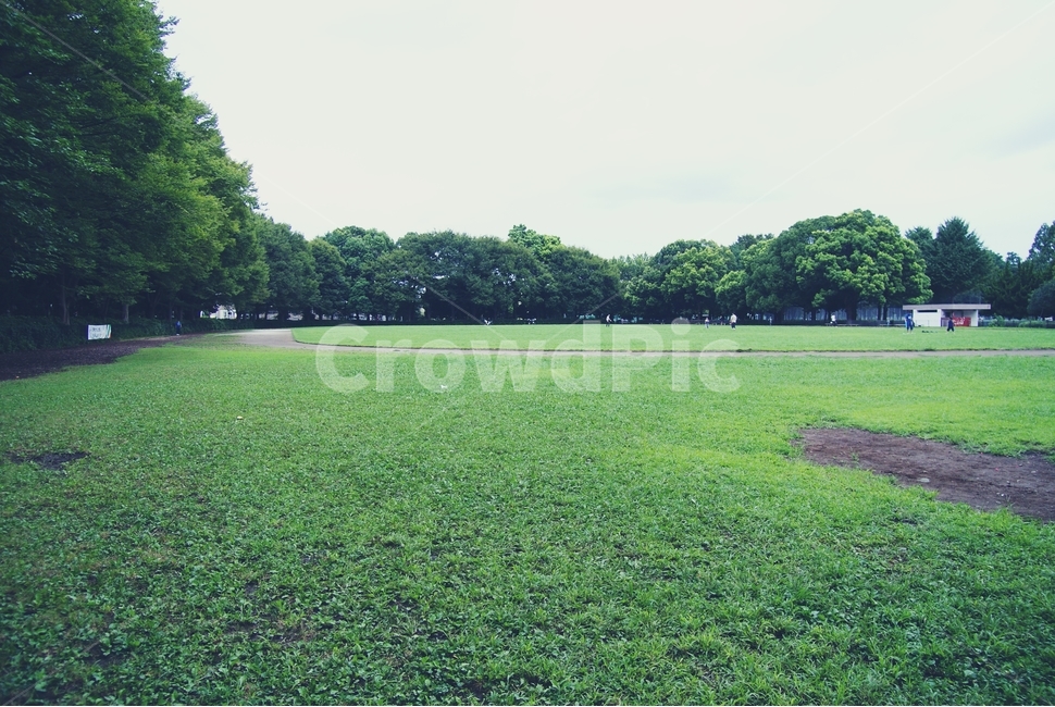 공원,운동장,잔디,잔디밭,일본,도쿄,park,playground,grass,japan,tokyo,자연,풍경,nature,landscape,plant,식물,lawn