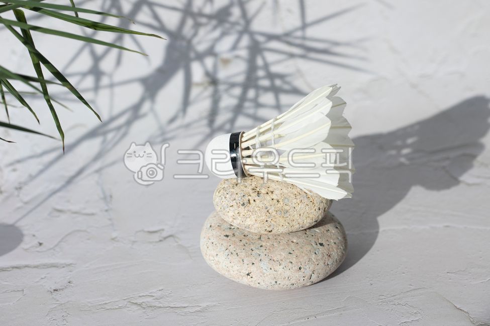 배드민턴,공,배드민턴공,스포츠,셔틀콕,운동,콕,취미,레저,사물