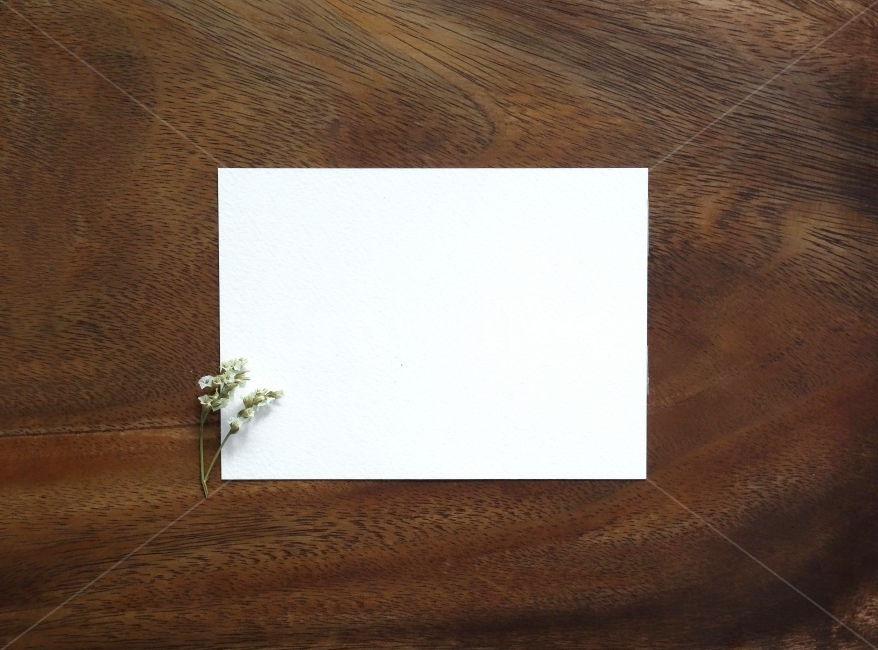 말린꽃,이벤트,편지,질감,소품,나무무늬,드라이플라워,prop,object,event,dryflower,woodcuttingboard,texture,kitchentools,latter,card,memo,woodbackground,기념일,축하,anniversary,congratulation,celebrate,celebration,사물,물건,오브젝트,thing,object,matter,연출,컨셉,콘셉,direction,concept