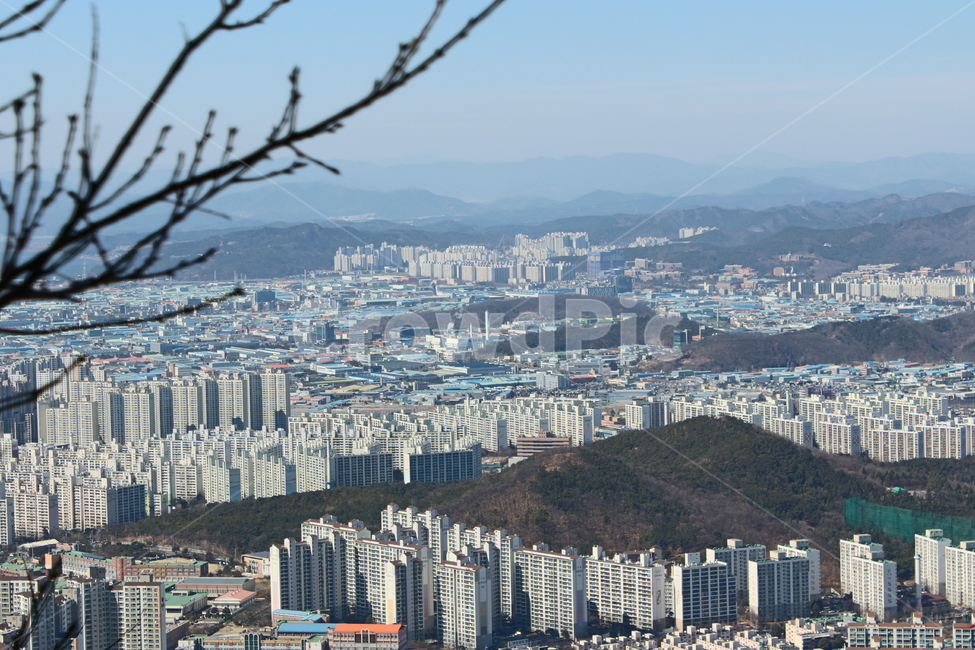 아파트,산위에서,아파트숲,분지,풍경,아파트풍경,도시,풍경,city,landscape,한국도시풍경,한국도시경관,korea cityscape,경치,outdoors,옥외,nature,자연,scenery,aerial view,조감도