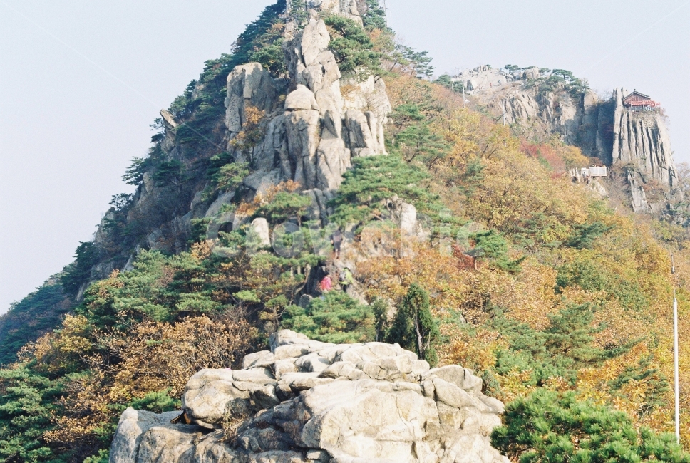 산,자연,나무,가을,관악산,가을,계절,fall,autumn,season,자연,풍경,nature,landscape,한국자연풍경,한국자연경관,korea nature landscape,outdoors,옥외,cliff,낭떠러지