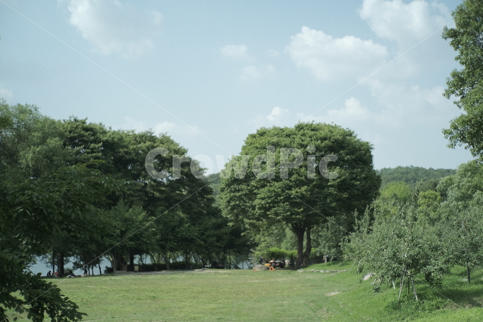 공원,나무,하늘,자연,풍경,grass,plant,식물,자연,풍경,nature,landscape,식물,plants,나무,trees,wood