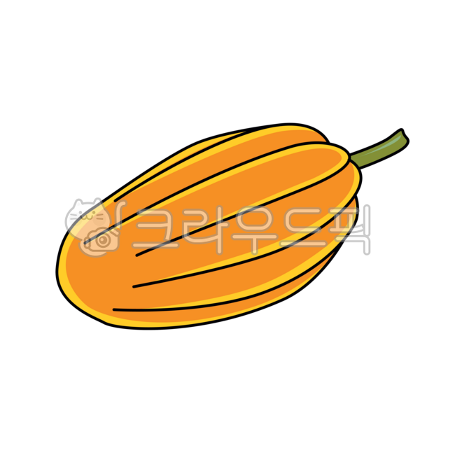 Pumpkin,pumpkin illustration,pumpkin drawing,autumn,thanksgiving,illustration,vegetable drawing,health,food,halloween day,vegetable drawing,vegetarian,vegetable,vegetable illustration,ingredients,halloween,plant,food,vegetable,vector,vegetable,pumpkin,foo