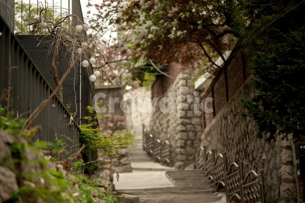 골목,거리,길,서울,부암동,walkway,통로,보도,sidewalk,골목길,alley