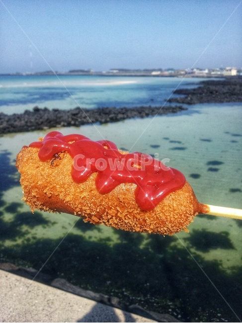 핫도그,음식,제주도,제주바다,간식