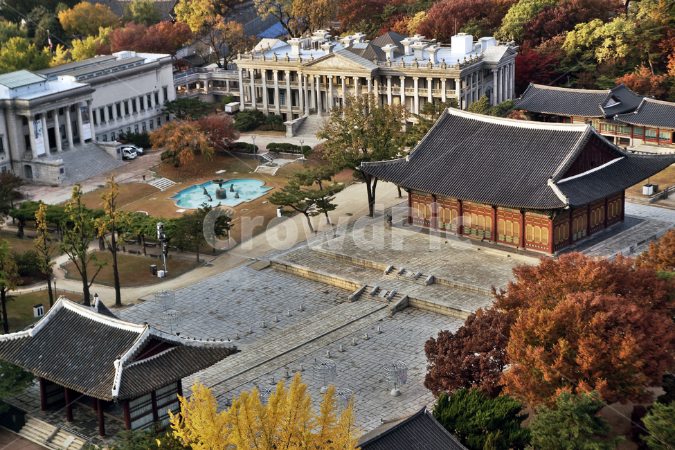 덕수궁,궁궐,도심,가을,서소문,중화전,석조전,한국전통,한국문화,korean traditional,korean culture