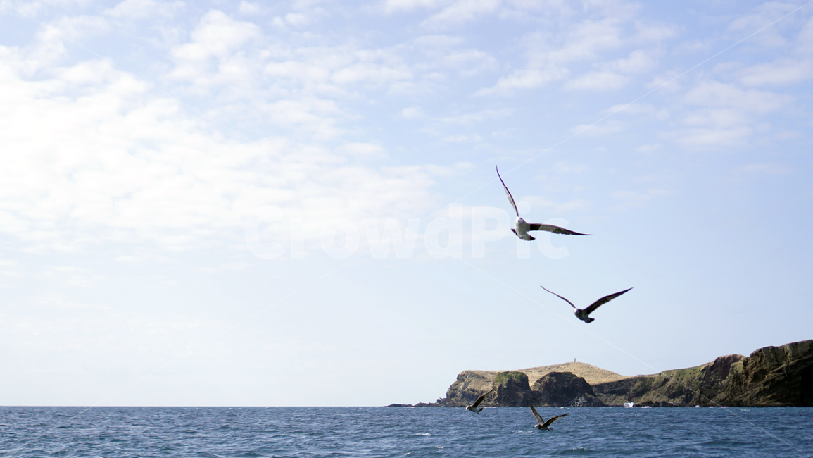 제주도,제주도해변,해변,청정,바닷가,여름,분위기,감성,자연,jeju,jejuisland,beach,seaside,purity,cleanness,nature,sensible,feeling