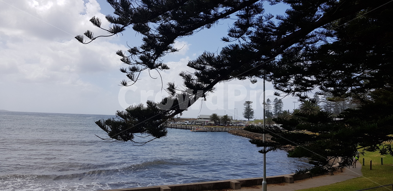 자연,바닷가,나무,호주,힐링,햇살,자연,풍경,nature,landscape,tree,plant,식물,water,물,outdoors,옥외